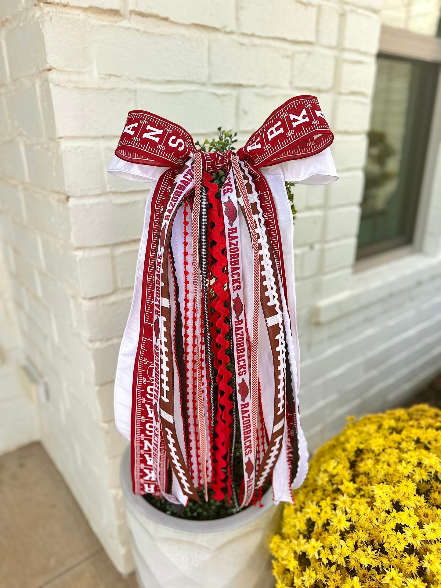 ARKANSAS RAZORBACK FOOTBALL BOWBIN