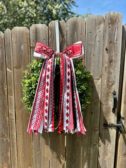 ARKANSAS RAZORBACK FOOTBALL BOWBIN
