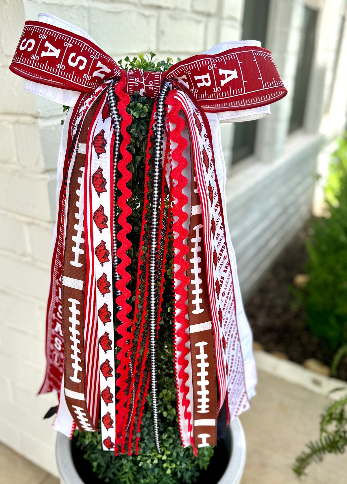 ARKANSAS RAZORBACK FOOTBALL BOWBIN