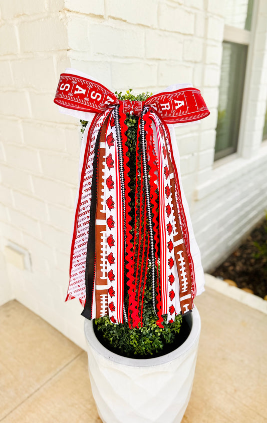 ARKANSAS RAZORBACK FOOTBALL BOWBIN