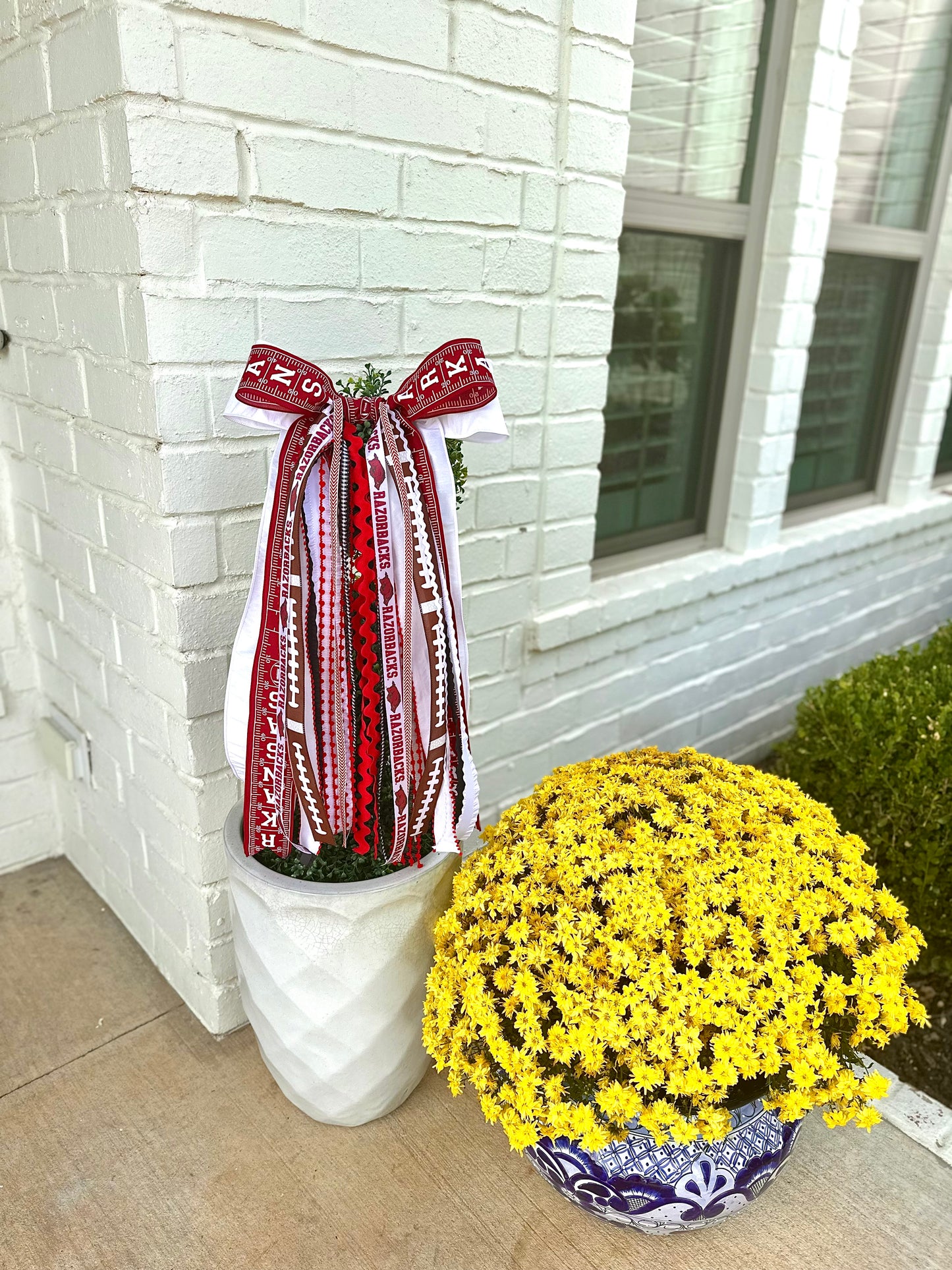 ARKANSAS RAZORBACK FOOTBALL BOWBIN
