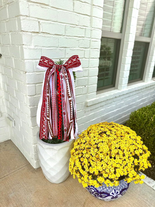ARKANSAS RAZORBACK FOOTBALL BOWBIN