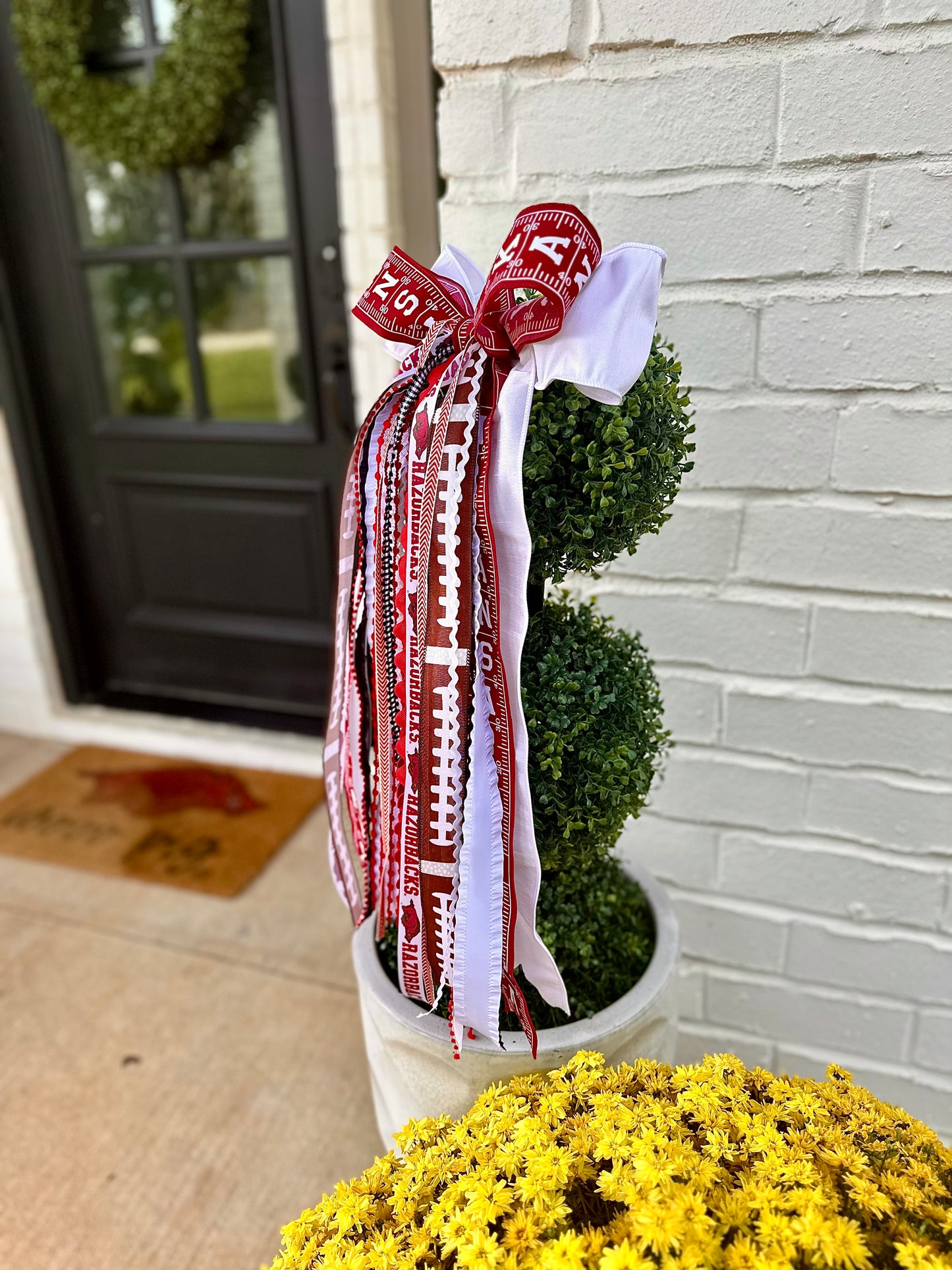 ARKANSAS RAZORBACK FOOTBALL BOWBIN