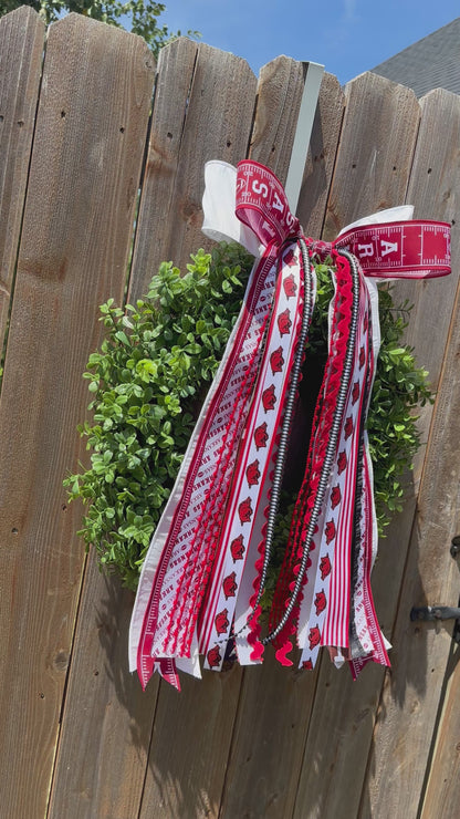ARKANSAS RAZORBACK FOOTBALL BOWBIN